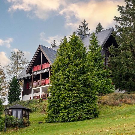 Ferienanlage Zum Silberstollen 2 Haeuser Am Berg Polderhof Und Weisseritzhuette Altenberg  Dış mekan fotoğraf